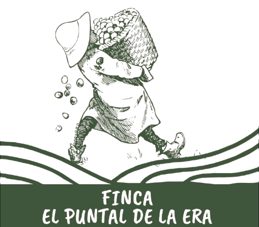finca el puntual de la era